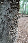 20000101000011_IMG_0048