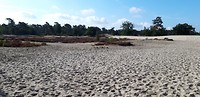 20180818_095912