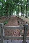 20000101000011_IMG_0044