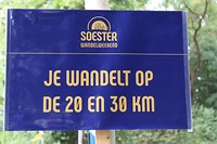 20000101000008_IMG_0008