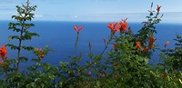 20180830_122905