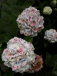 20180831_111254