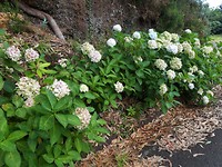 20180831_110013