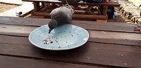 20180910_154532