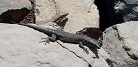 20180910_133357