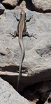 20180910_133407