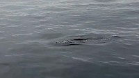 VID_20190726_183912~2