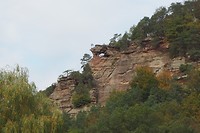 OI000155