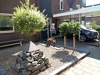IMG_20200814_120440_262_copy_1843x1382