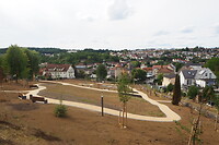 P8195206