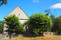 P8205245