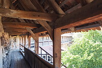 P8215291