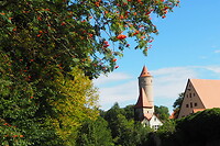 P8235385