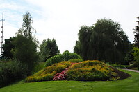 P8245488