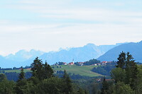 P8255588