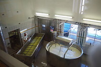 P8265613