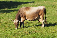 P8265645