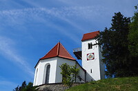 P8275677