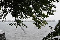P8295879