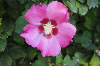 P8316016