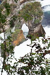 P8315955