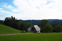 P9056362