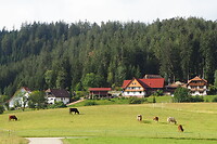 P9066420