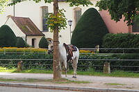 P9076618
