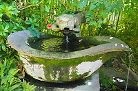 P9096817