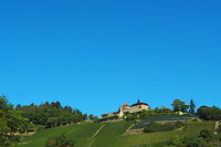 P9096800