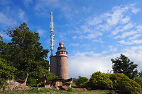 P9106913