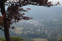 P9106954