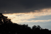 P9106986