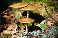P9137076