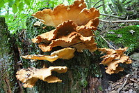 P9127069