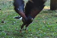 P9157303