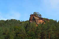 P9167382