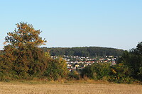 P9177562