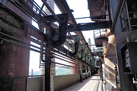 P9177525