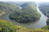 P9187624