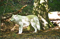 P9187578