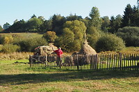 P9217831