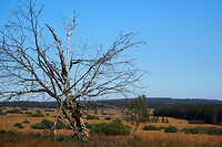 P9217873