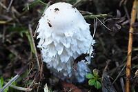 P9227925