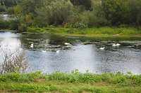 P9238028
