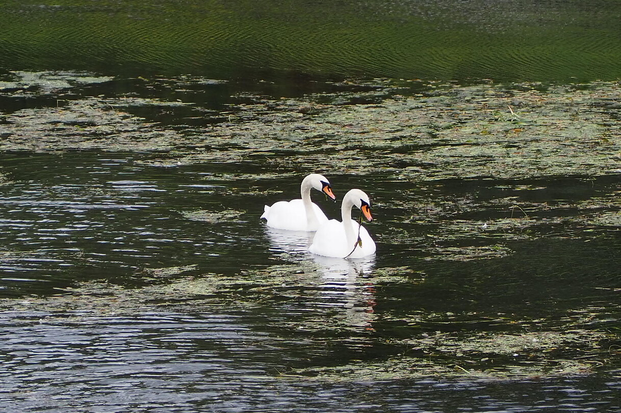P9238053