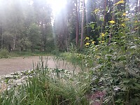 IMG_20210726_155045_033