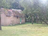 IMG_20210729_134019_823