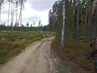 IMG_20210818_120519_783