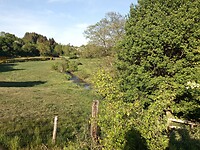 IMG_20220515_183249_246